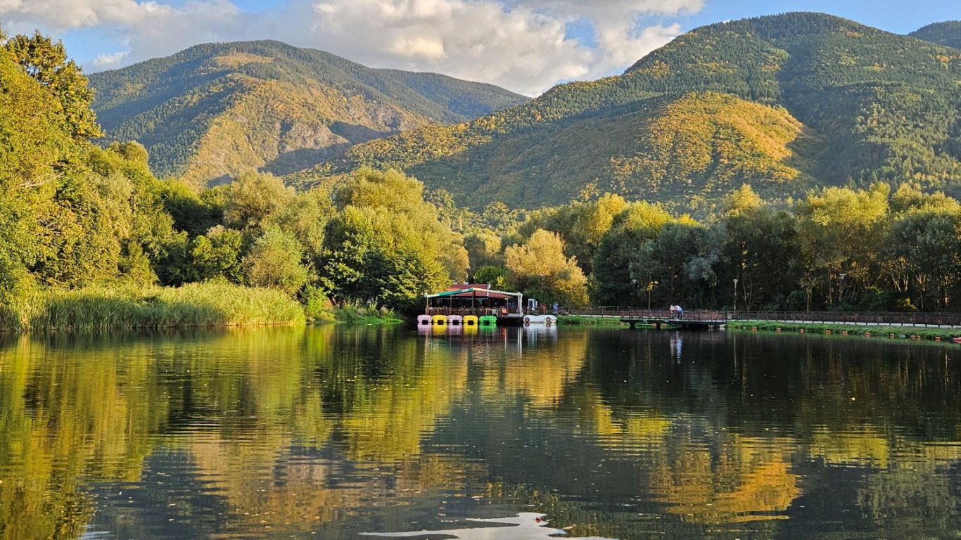 Изработка на сайт в Дупница на super цени от 350 лв.